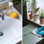 curatare baie cu solutii naturale